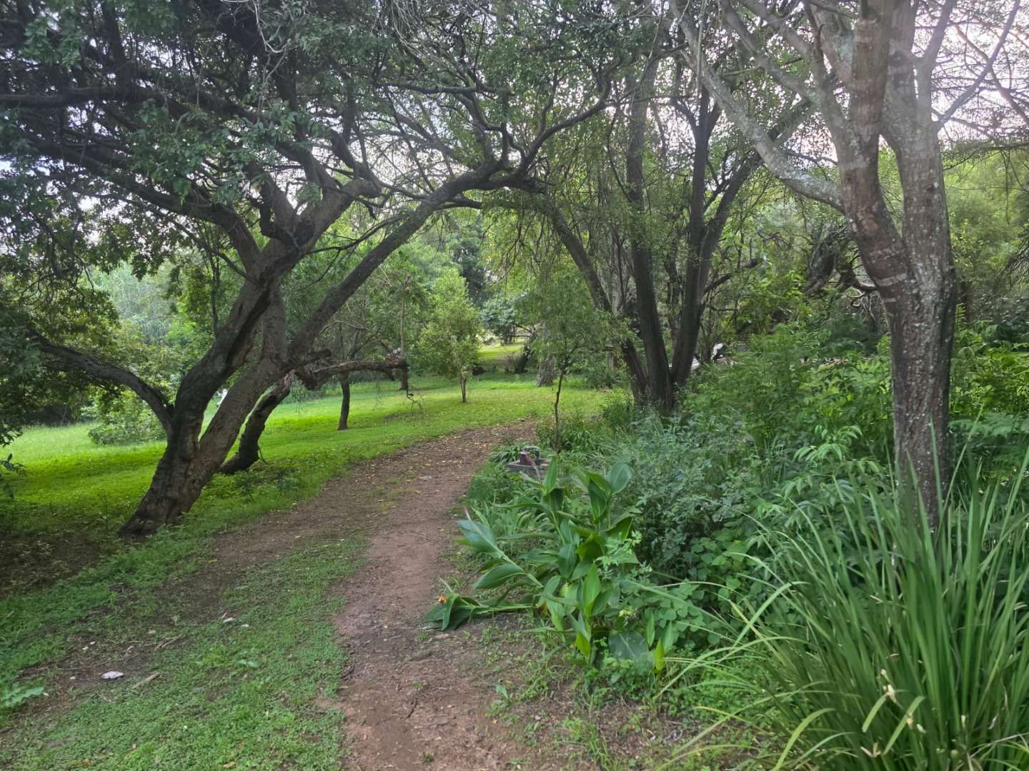 7 Bedroom Farm For Sale in Roodekrans
